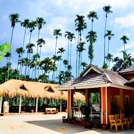 Coffee gudda Chikmagalur - Resorts Chikmagalur