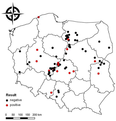 Molecular Detection and Phylogenetic Analysis of Riemerella ...