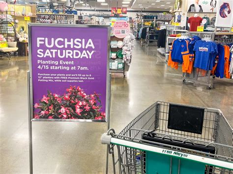 Fred Meyer Fuchsia Saturday 2024: Get $19 Worth of Free Potting Soil ...