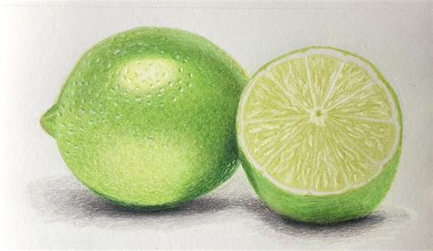 How To Draw A Lime - Drawing Tips Guide