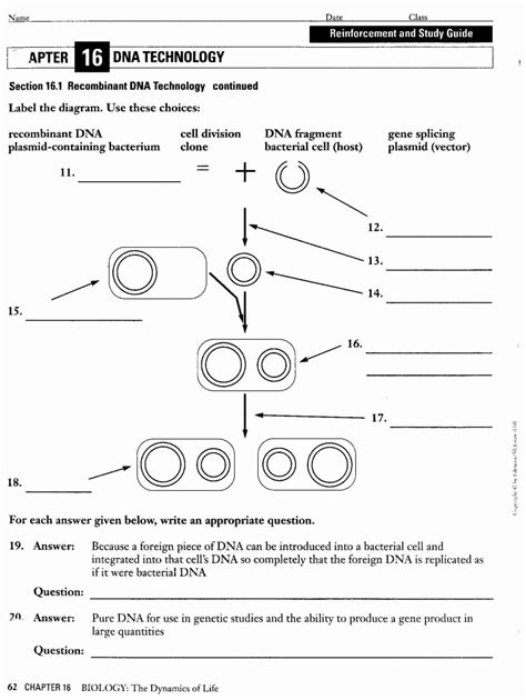 Image result for Protein Synthesis Review Worksheet