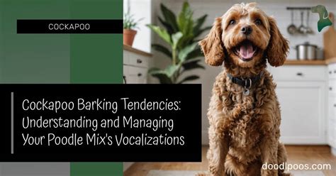 Image result for Cockapoo Dog Barking