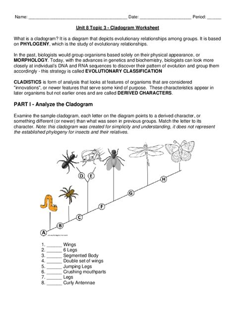 Image result for Cladogram Practice Worksheet