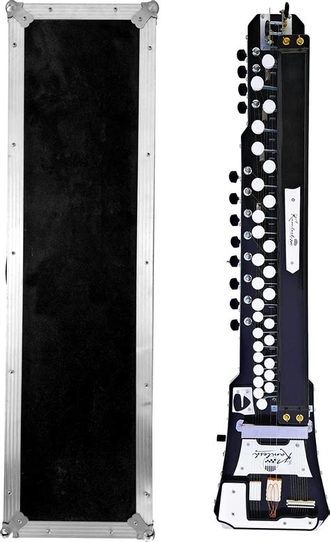 Indian Banjo (Bulbul Tarang) Electric Hira Benjo with Protective Box ...