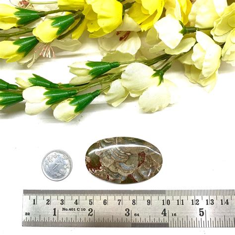 Mushroom Rhyolite / Rainforest Jasper Cabochon