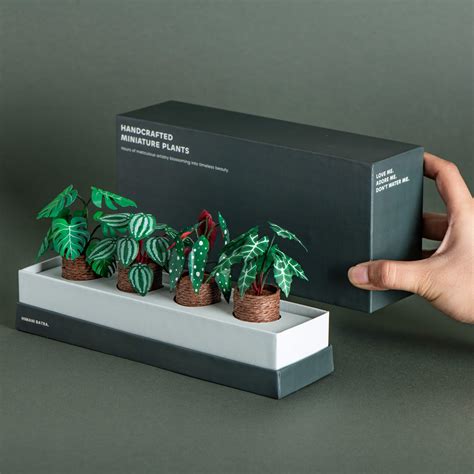Green Bliss |Set of 4 | Miniature Paper Plant – Himani's Art Studio
