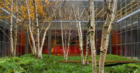 All You Need To Know About Biophilic Design