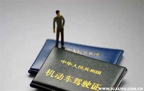 怎么查自己有没有驾驶证？个人驾驶证信息查询_车主指南