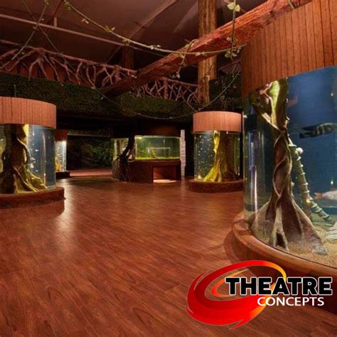 Theatre Concepts
