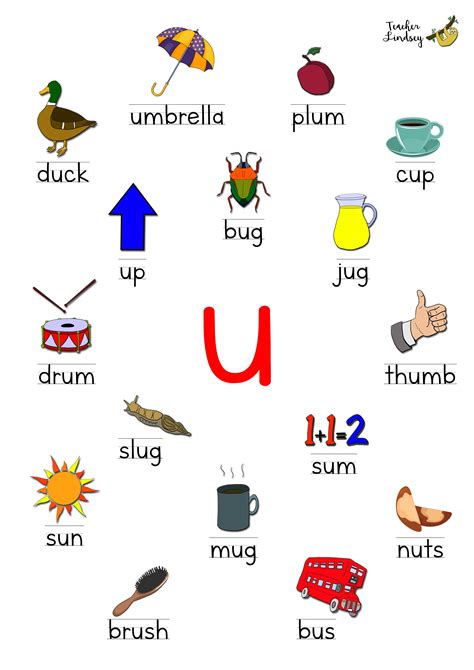 Short vowel u words by Teacher Lindsey | Word family worksheets ...