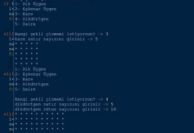 Image result for Simulasyon Python Turkce