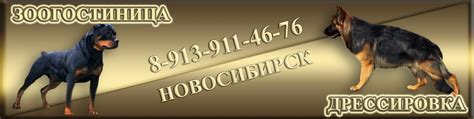 Зоогостиница Новосибирск Академгородок | Бесплатная передержка домашних ...
