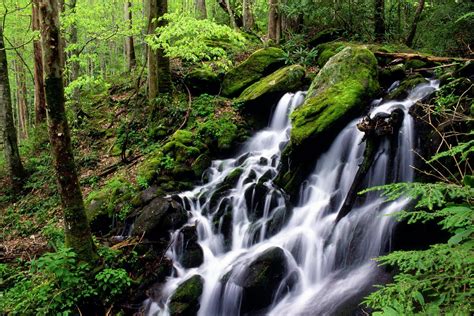 Image result for Waterfall Desktop Backgrounds