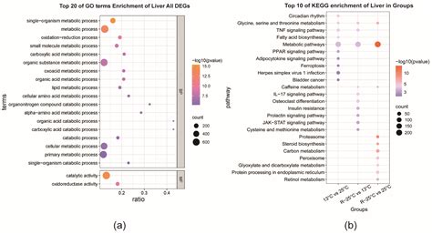 The Effects of Acute Temperature Changes on Transcriptomic Responses in ...