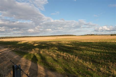 Woodland National Park