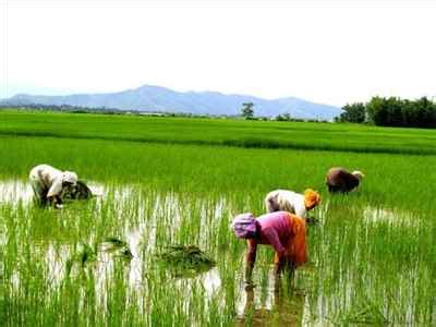 Imphal City Guide, Information on Imphal, About Imphal