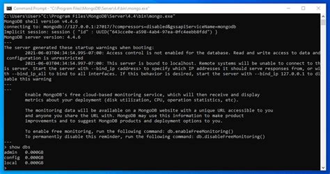 MongoDB Database Manager 的图像结果