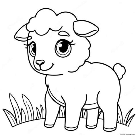 Cute Baby Sheep Coloring Pages