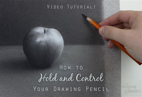 Image result for Basic Drawing Tutorials