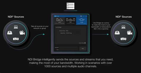 Image result for NDI Virtual Input