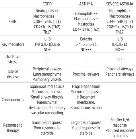 Asthma and Chronic Obstructive Pulmonary Disease (COPD) – Differences and Similarities - PMC