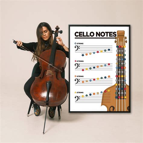 Cello Notes Music Theory Printable Poster. Learn Cello Notes. Cello ...