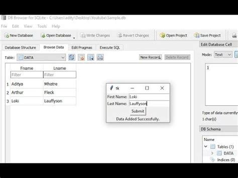 Image result for Database Display GUI Python