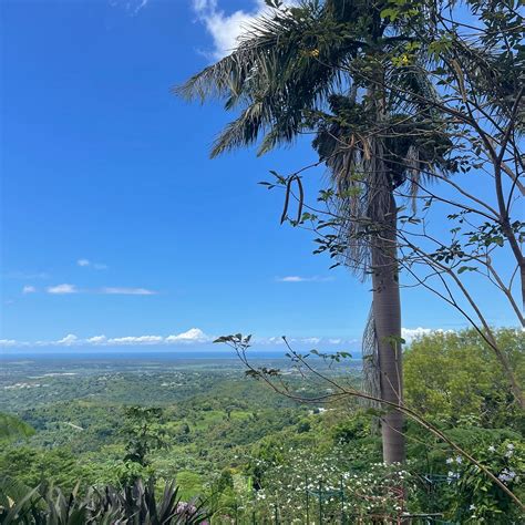 EL PEQUEÑO HOTEL (Palma Sola) - Villa Reviews, Photos, Rate Comparison ...