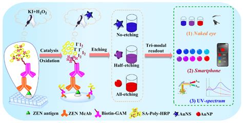 Research Progress on Immunological Biochips Based on Surface Plasmon ...