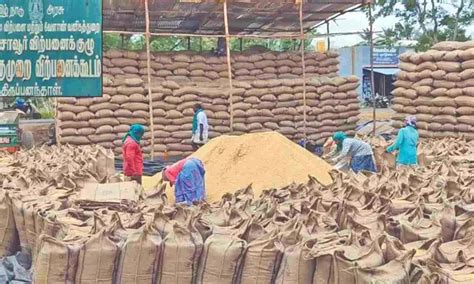 Delta farmers in TN worried over procured paddy kept in open space at DPCs