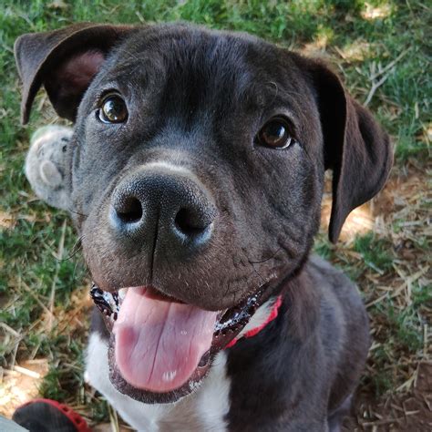 West Palm news: CityPlace adds Equinox, Crate & Barrel, Reformation