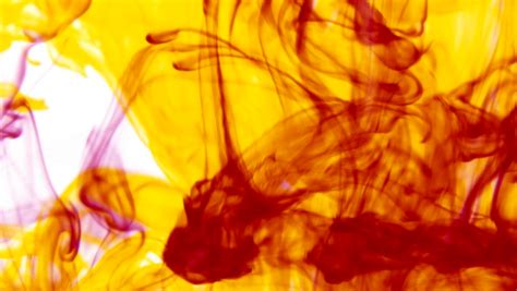 Image result for Discover Check Application Status