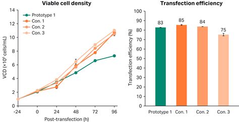Developing HEK293 transfection media