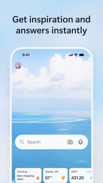 Bing Search Problems 的图像结果