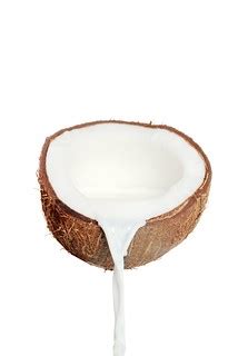Coconut Hybridization Program 的图像结果