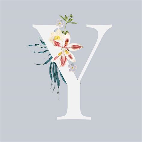 Image result for Y Is a Function of X Examples