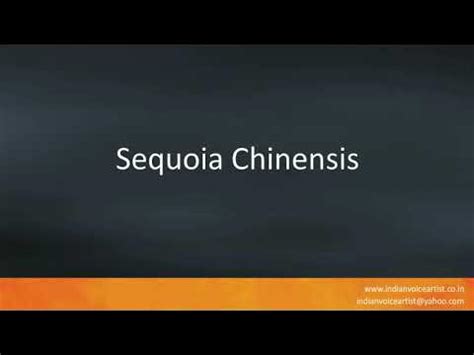 Pronunciation of the word(s) "Sequoia Chinensis". - YouTube