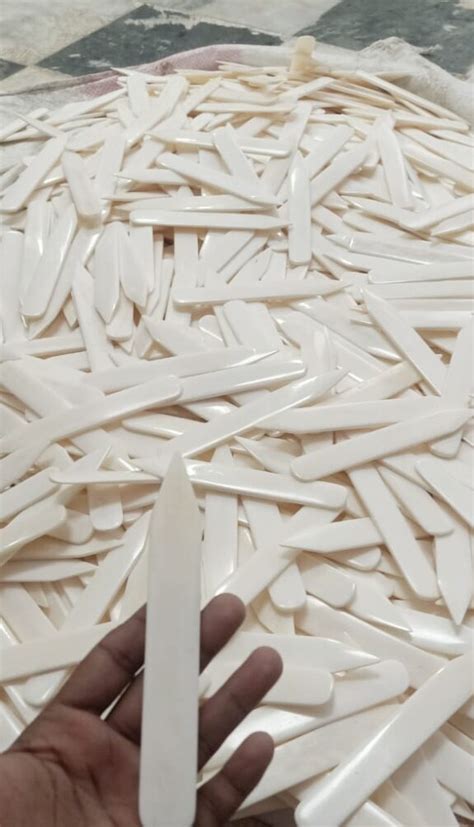 Small And Long Bone Folder, Bookbinding bone folder, Bone folder one ...