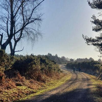 Longmoor Through The Ages Guided Walk, Longmoor Cark Park (Forest Road ...