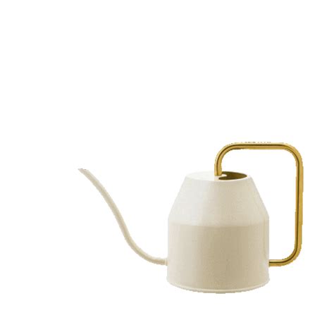 אגוז מוזיאון גוגנהיים מעגל חשמלי arrosoir janod לאסוף סמוך ל ברוב המקרים