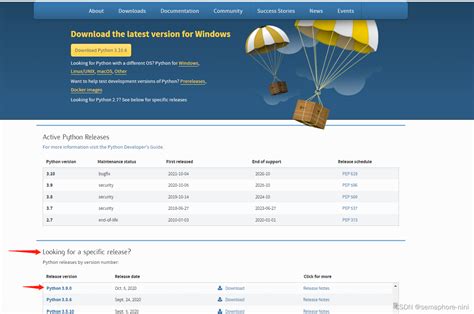 Installing Python 3.9 的图像结果