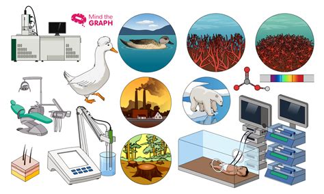 Image result for Science Illustrations