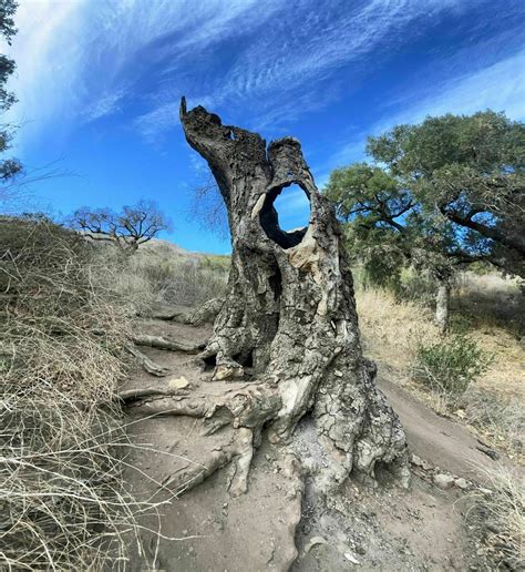 Solstice Canyon Loop Trail - Trails Near Me