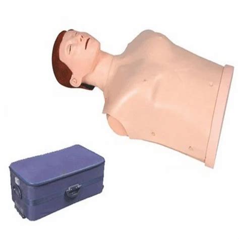 Manikin - Cpr Mannequin Adult Manufacturer from Bidhan Nagar