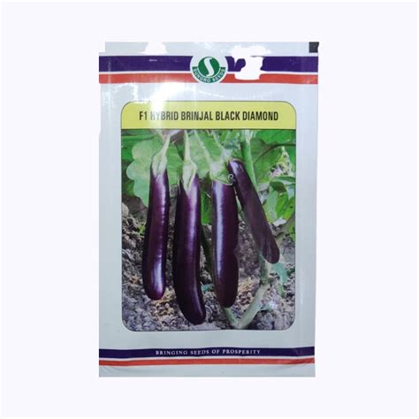 Black Diamond Brinjal Seeds - Sungro | F1 Hybrid | Buy Online Now ...
