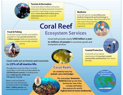 Threats to Coral Reefs: Causes, Impact, and Conservation Efforts