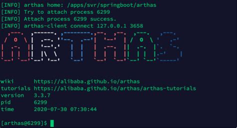 Probleme Java 的图像结果