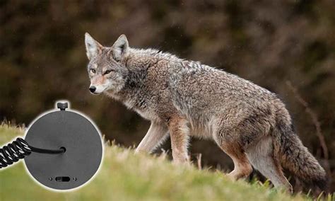 ClearVision Scope Pro 的图像结果