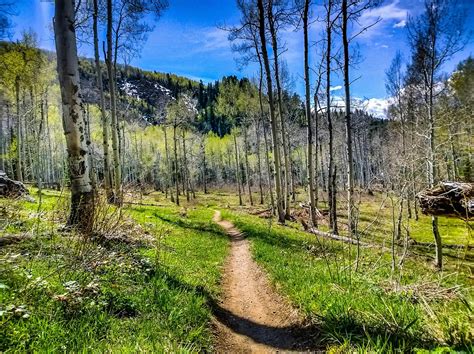 Spring Creek Trail Mountain Bike Trail in Steamboat Springs, Colorado ...