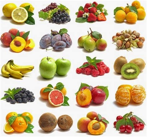 Image result for Fruit Example